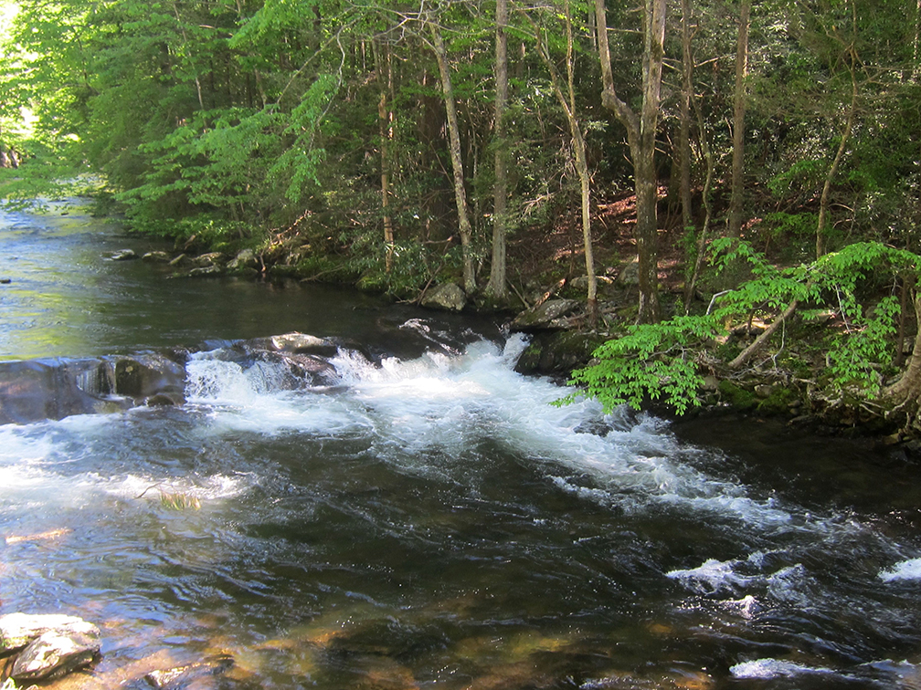 Great Smoky Mountains National Park